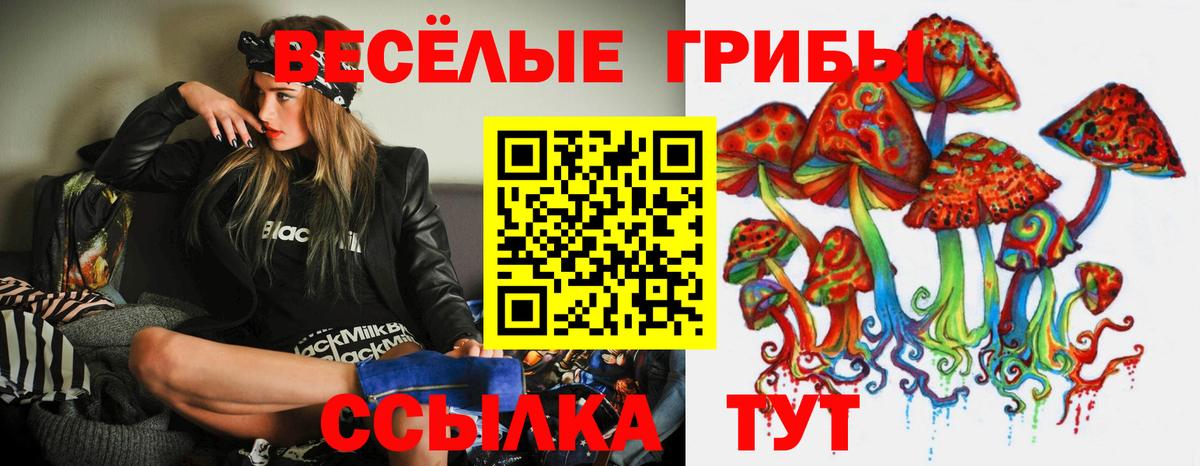 Партизанск  Галлюциногенные грибы GOLDEN TEACHER  Псилоцибиновые грибы Psilocybine cubensis  где купить наркоту  Вход с VPN 